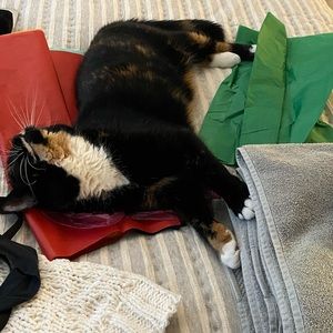 🐱 Blooper Reel 😋